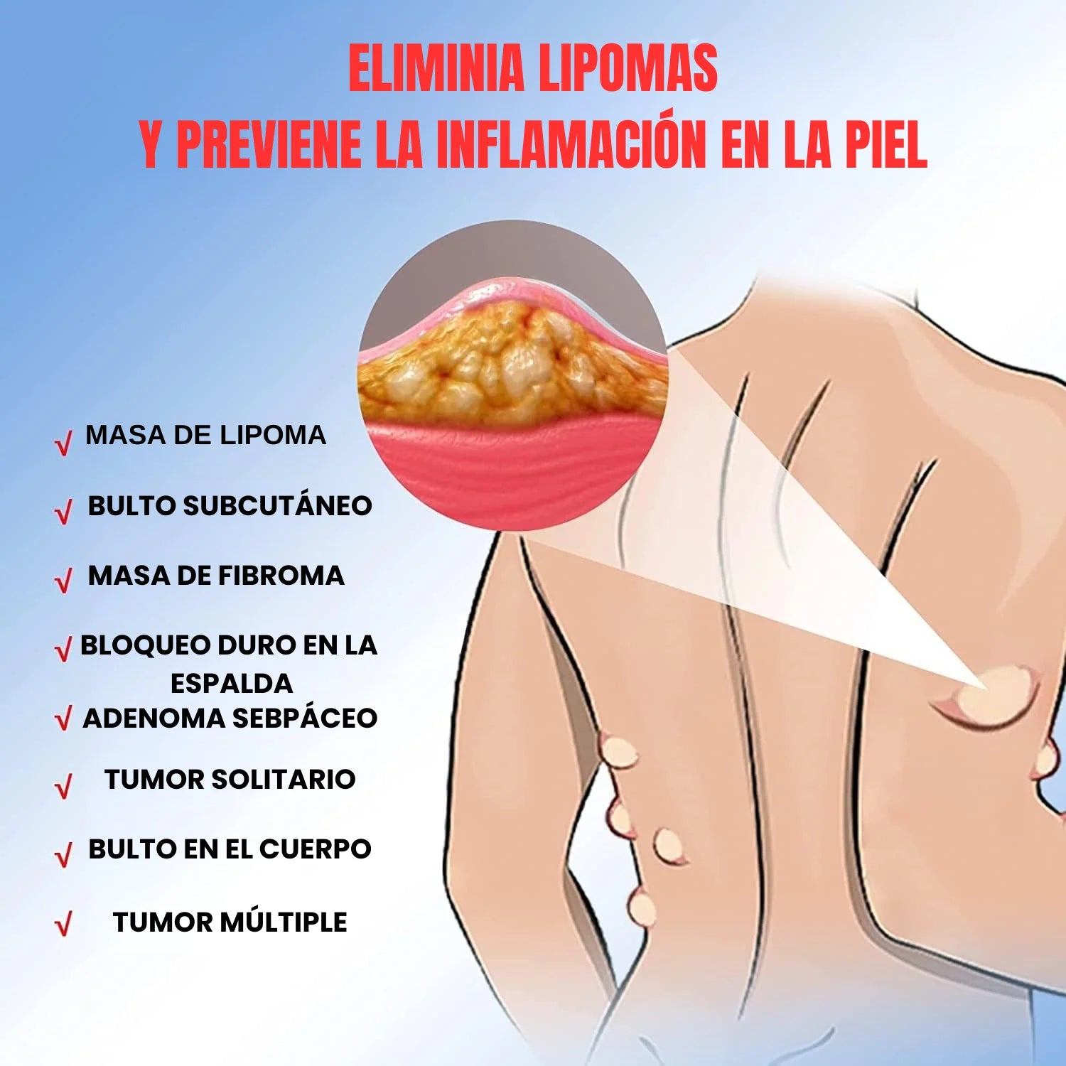 Encabezado