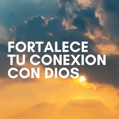Encabezado