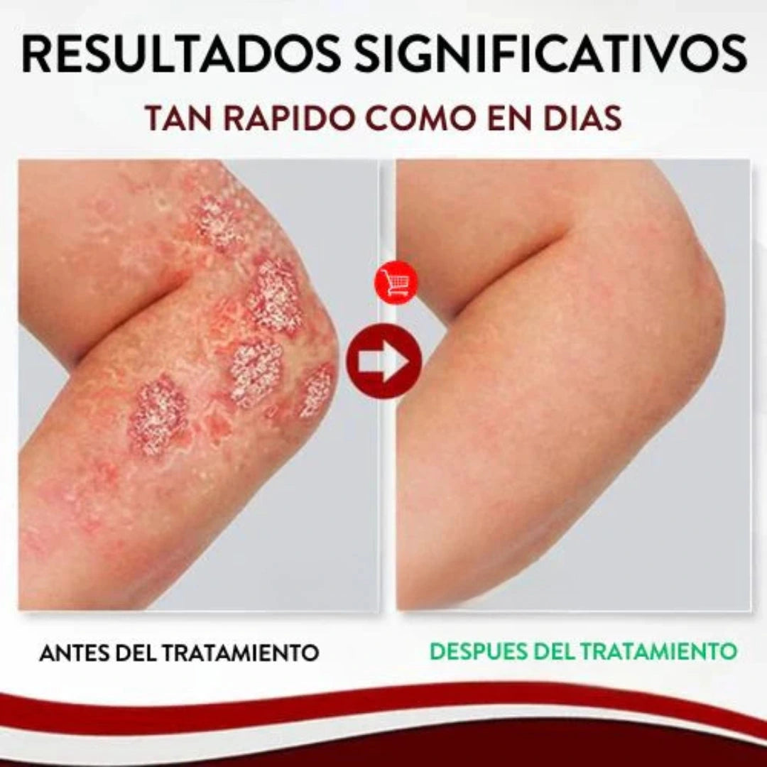 Encabezado