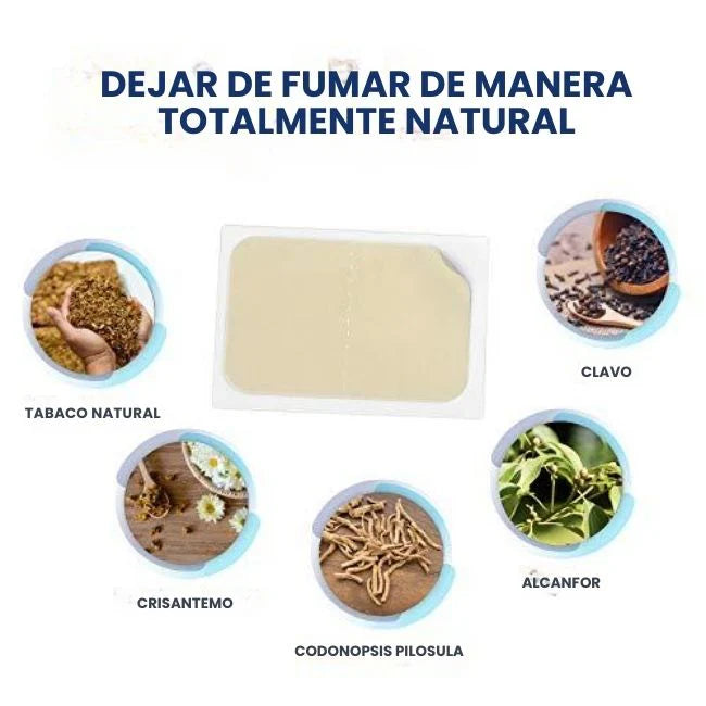 Encabezado
