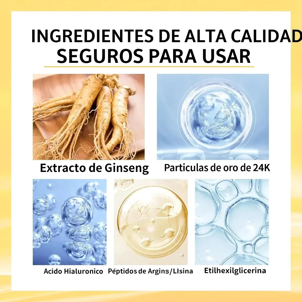 Encabezado