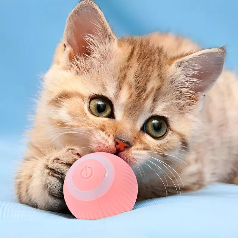 PetPlay pelota Inteligente para gato Estimula y Divierte 2x1